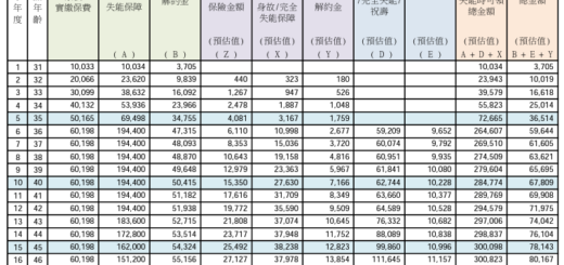 富邦人壽美富紅運外幣分紅終身壽險(PFA,分紅保單) IRR分析 (死亡IRR最高45%) #富貴都是韭菜幫的 #香港保單集合 - 儲蓄保險王
